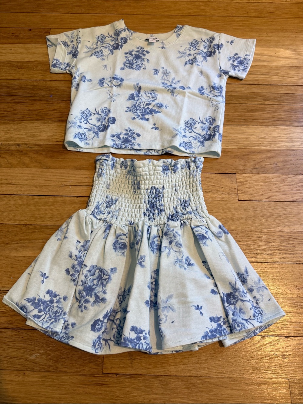 Splendid Skirt and Top Set